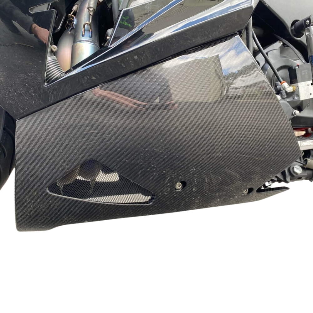 AGM ZX14R Carbon Fiber Lower Panels