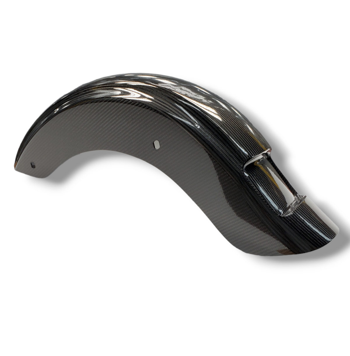 Harley Bagger Rear Fender - Dirty Bird Design